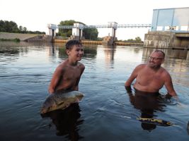 Labe 20 pod elektrárnou v Hradištku - úlovek velkého kapra 29.6.19 (11).JPG